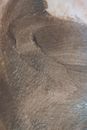 Closeup of textured backdrop of uneven surface of clay mask applied on skin