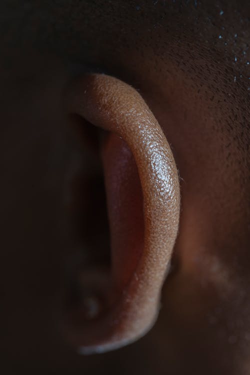 Ear of crop black model in shiny light