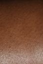Shiny dark skin with fine hairs