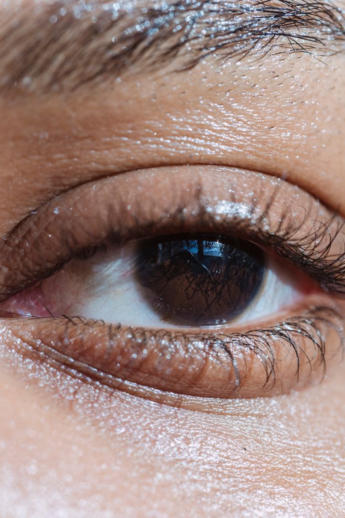 Close-up of a beautifully defined brow and brown eye