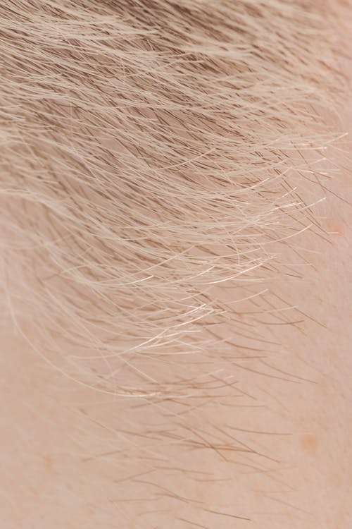 Full frame closeup of skin with short brown and fair hairs on surface