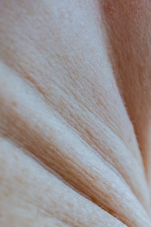 Closeup full frame of textured smooth skin with folds and small spots of crop anonymous person standing in light room