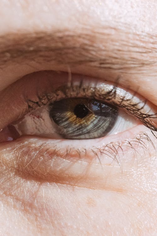 Closeup crop female with gray eye and black eyelashes and eyebrows looking at camera in light place