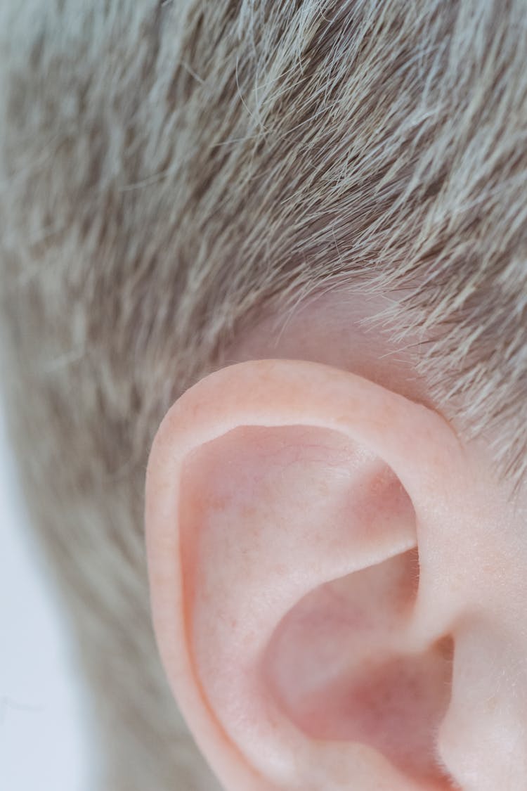 Ear With Short Fair Hair Of Crop Person