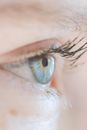 Closeup of opened blue eye with long dark eyelashes of crop anonymous lady