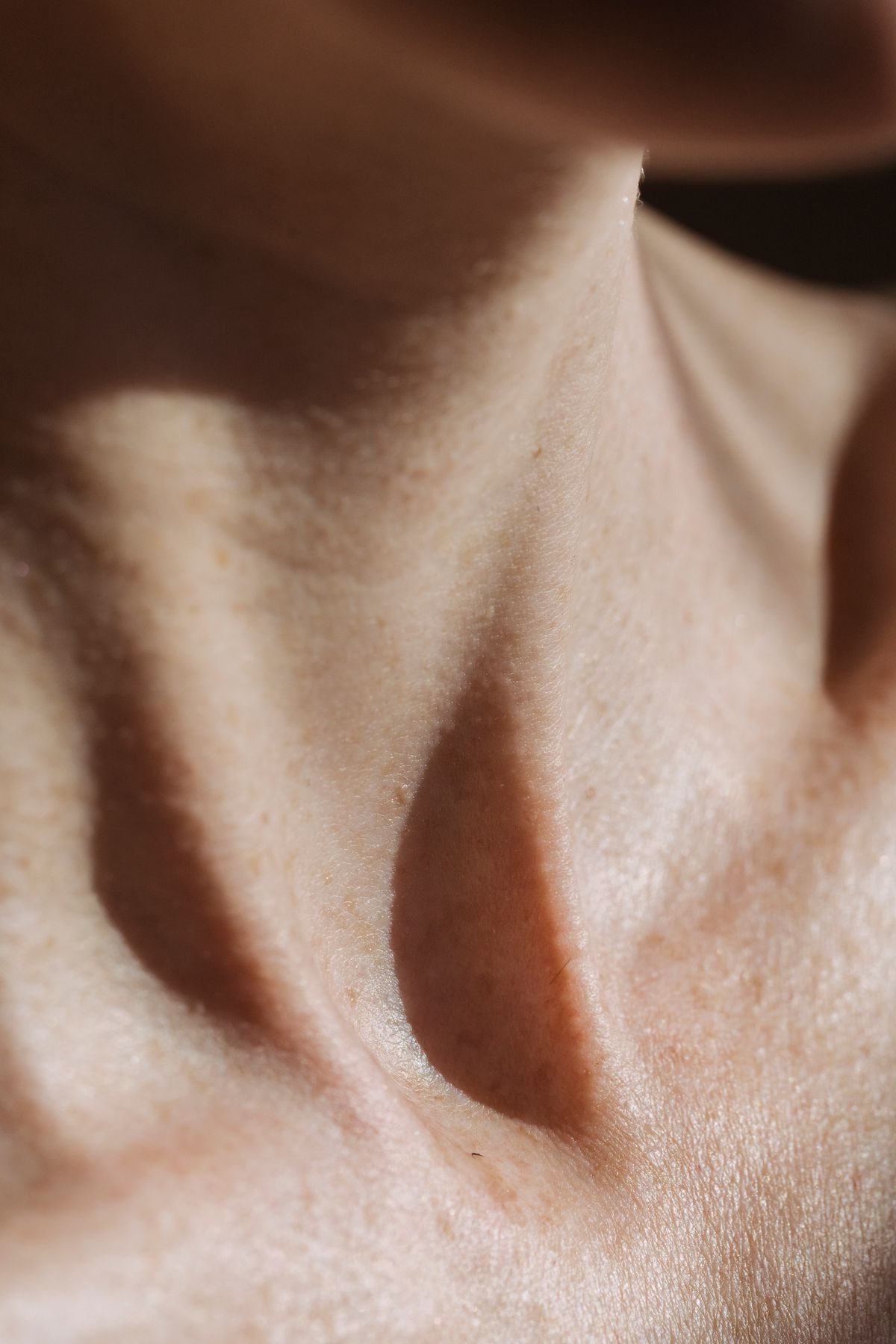Bare collarbone in warm daylight. Photo by Angela Roma on Pexels