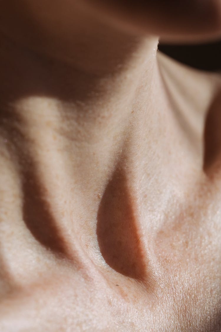 Neck And Suprasternal Notch Of Crop Person