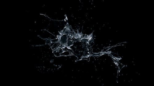Free Water Droplets on Black Background Stock Photo