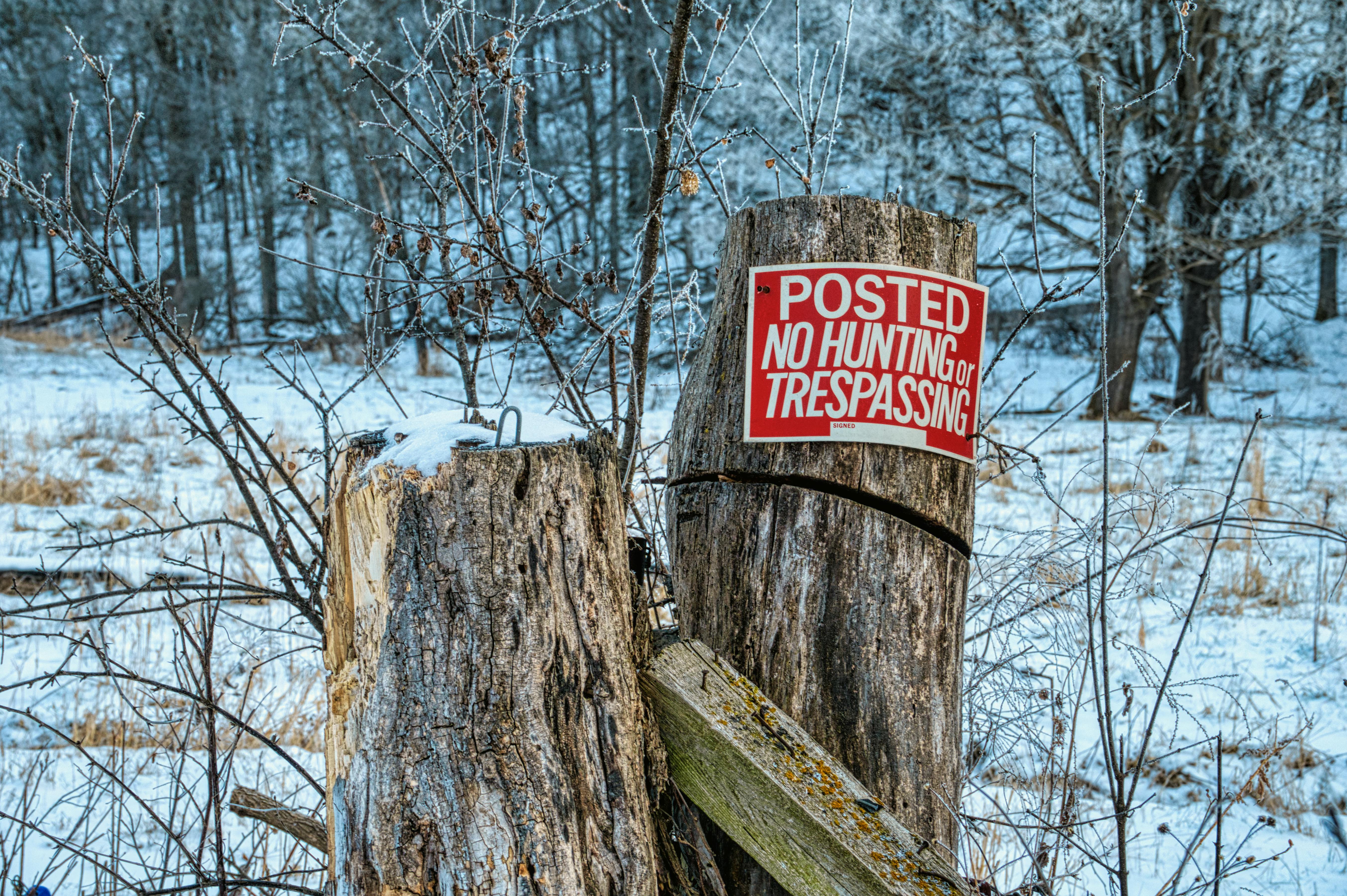 Tom Fisk/Pexels