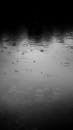 Rain Drops on the Lake