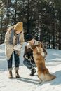 Woman in White Coat and Black Knit Cap Holding Brown Dog on Snow Covered Ground during