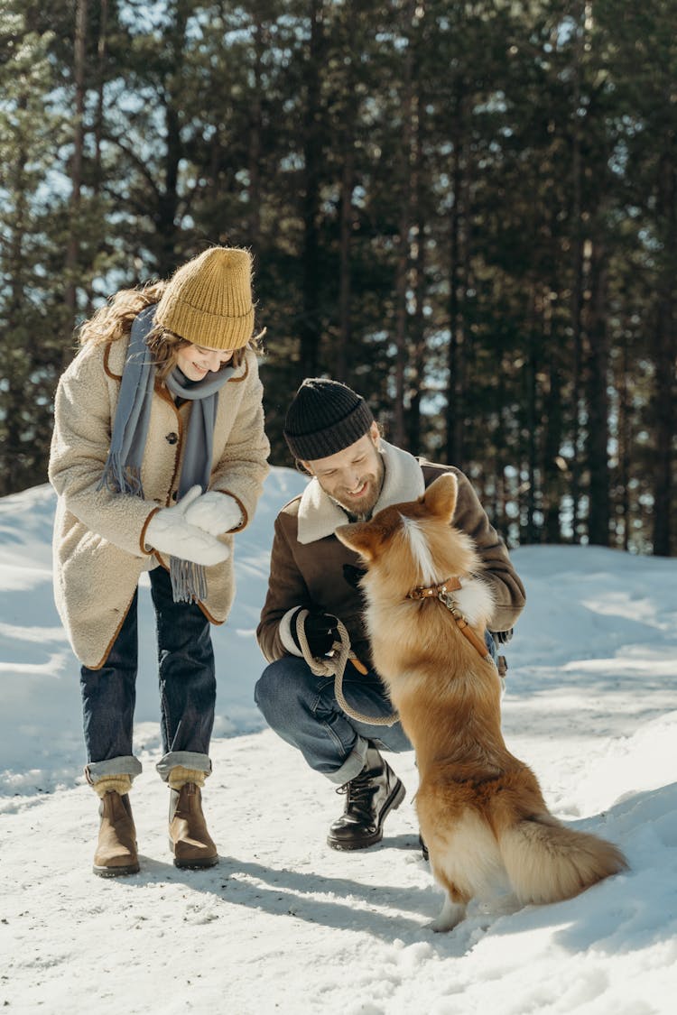 
A Couple With Their Dog During Winter