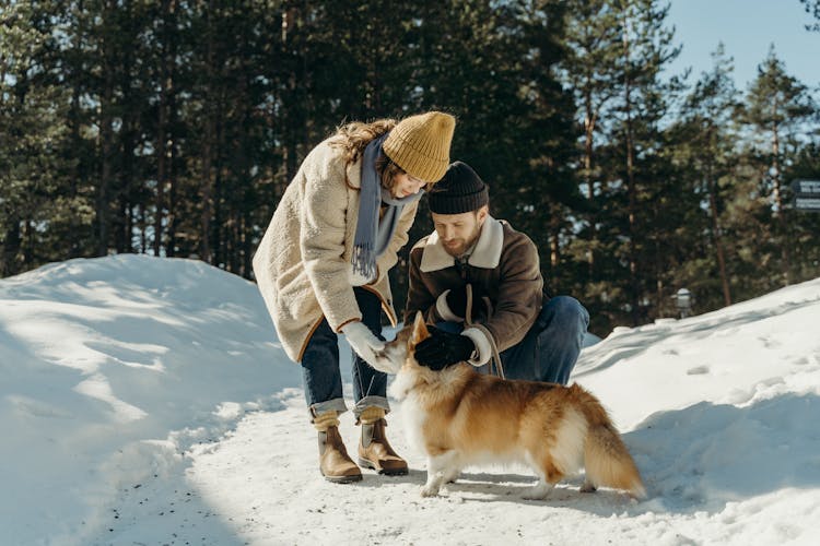 Man And Woman With Dog On Snow