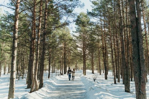 Free A couple walks together on a snowy path, surrounded by a tranquil winter forest. Stock Photo