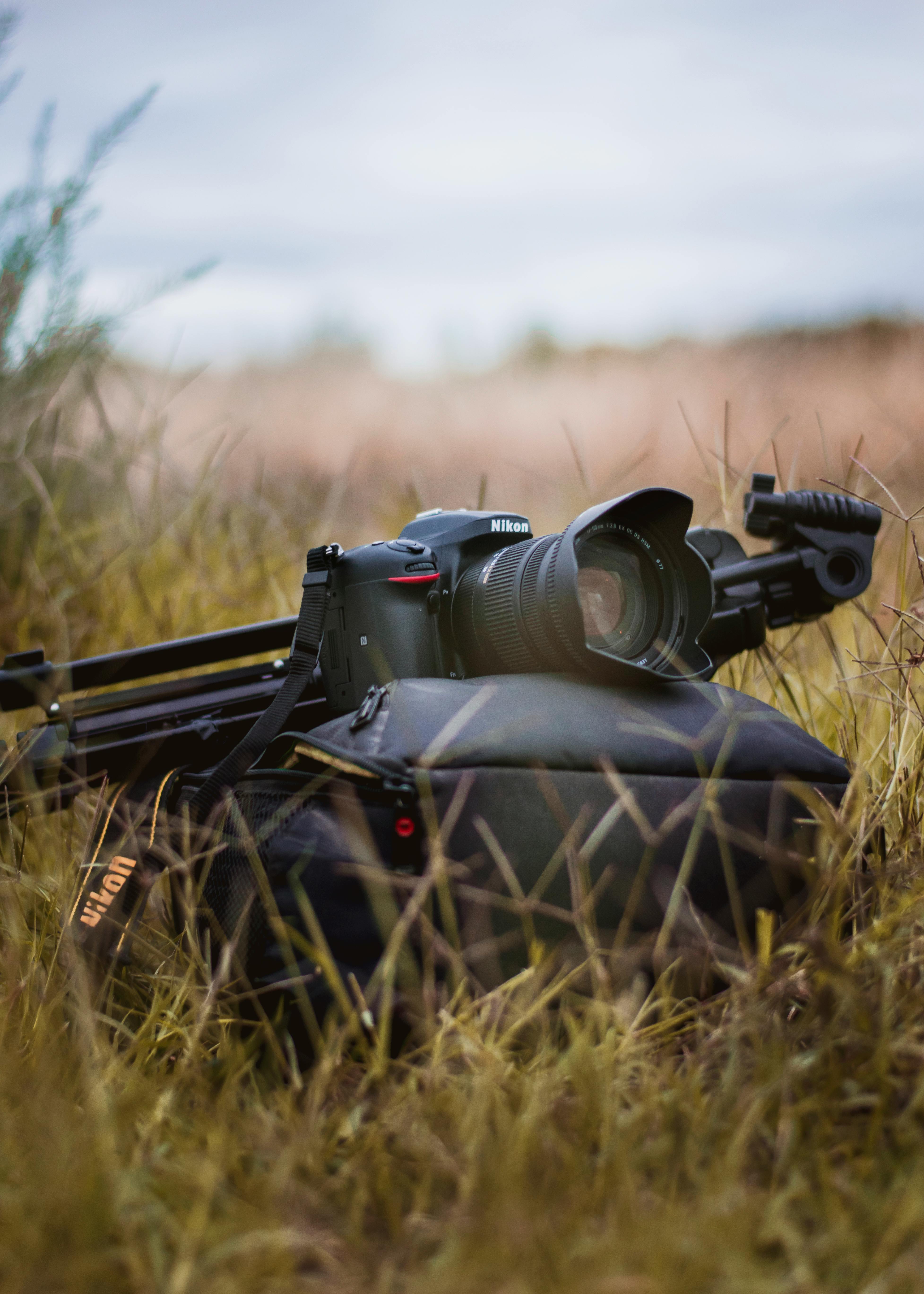 Conas Lionn Seanré a Thástáil do Fhíseán Roimh Cheannach – Dutch|Thrift, image size:929x1300