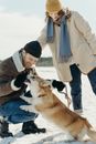 Woman in Gray Coat and Blue Denim Jeans Holding Brown and White Dog