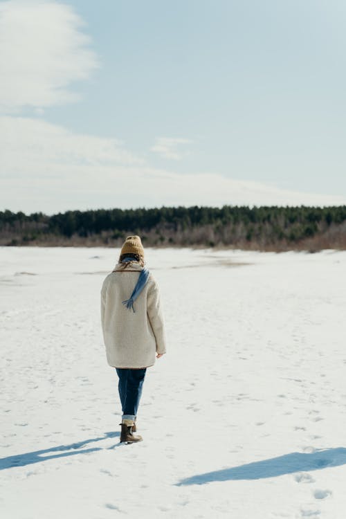Foto profissional grátis de andando, coberto de neve, mulher