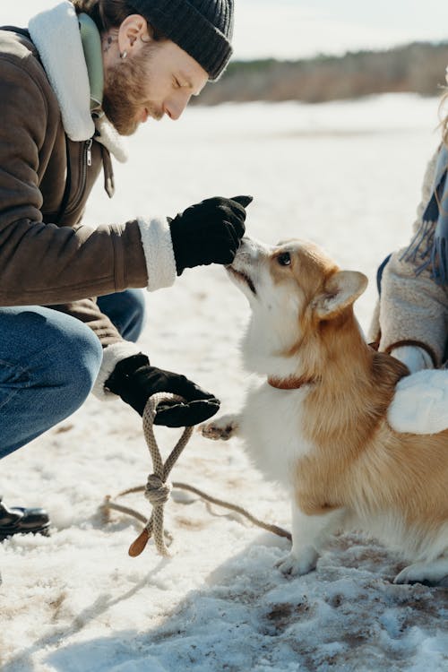 Man Crouching in Front of a Dog