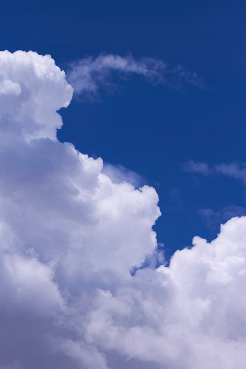 Fotobanka s bezplatnými fotkami na tému biele-oblaky, jemný, modrá obloha