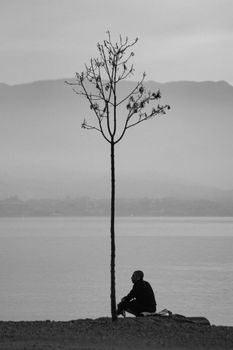 Black and white scene of a lone man sitting by a tree near a tranquil lake.