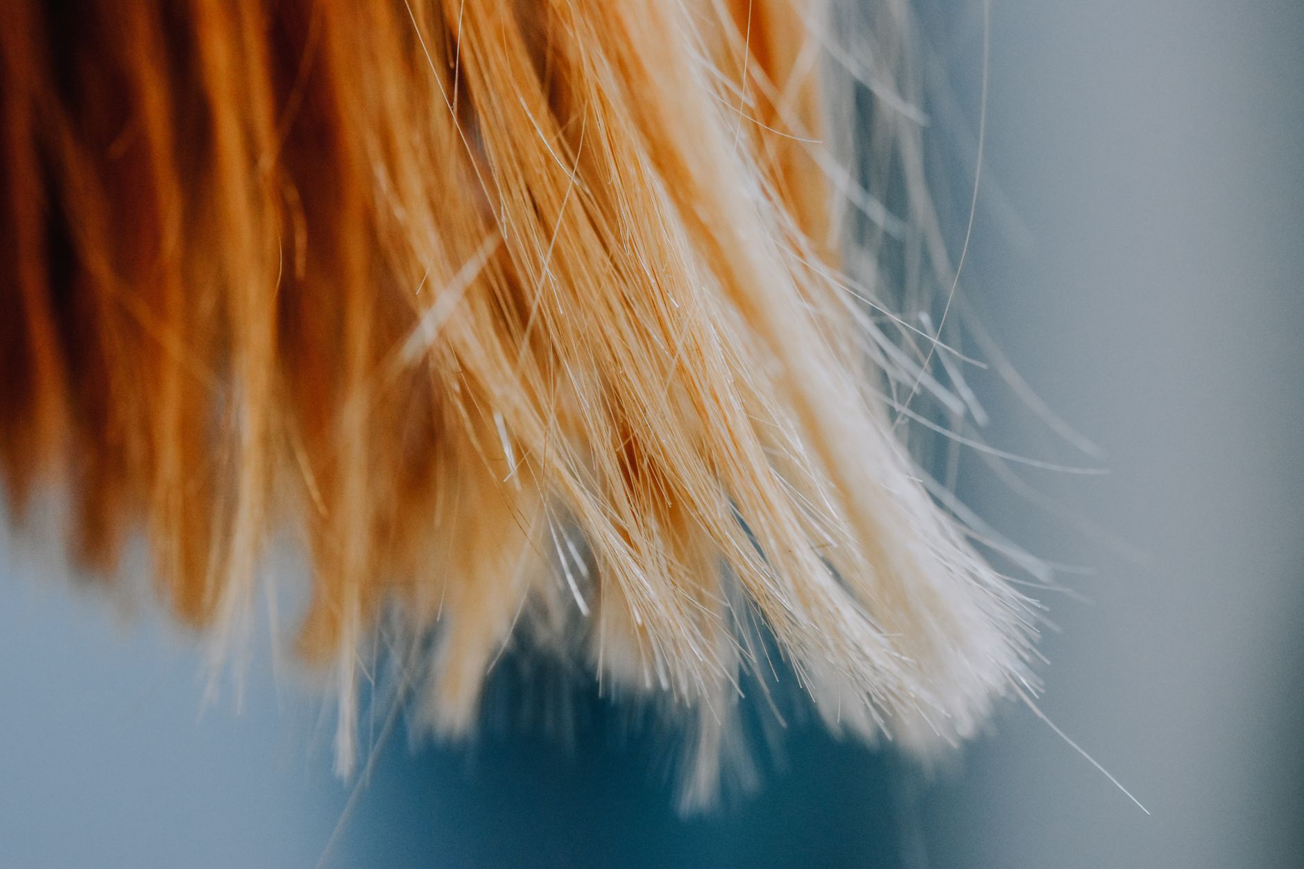 How to Maintain Hair Color: Expert Tips for Vibrant Locks