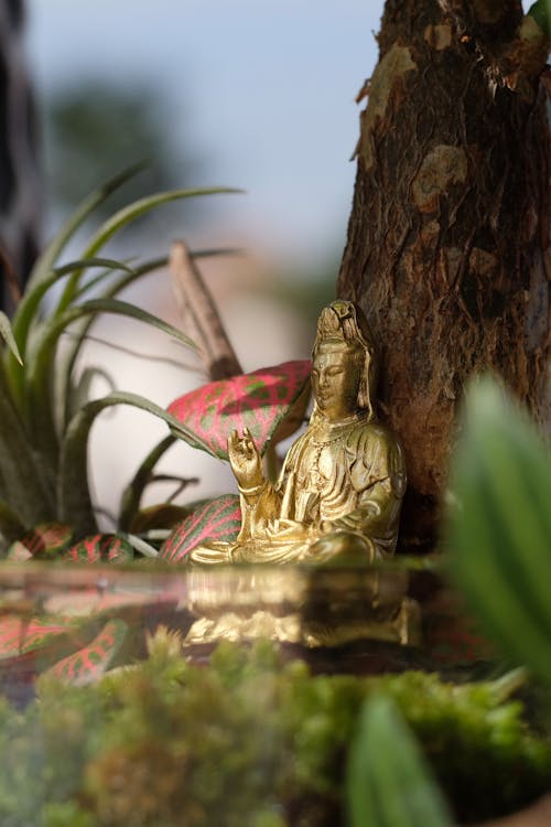 Základová fotografie zdarma na téma buddha, buddhismus, detail