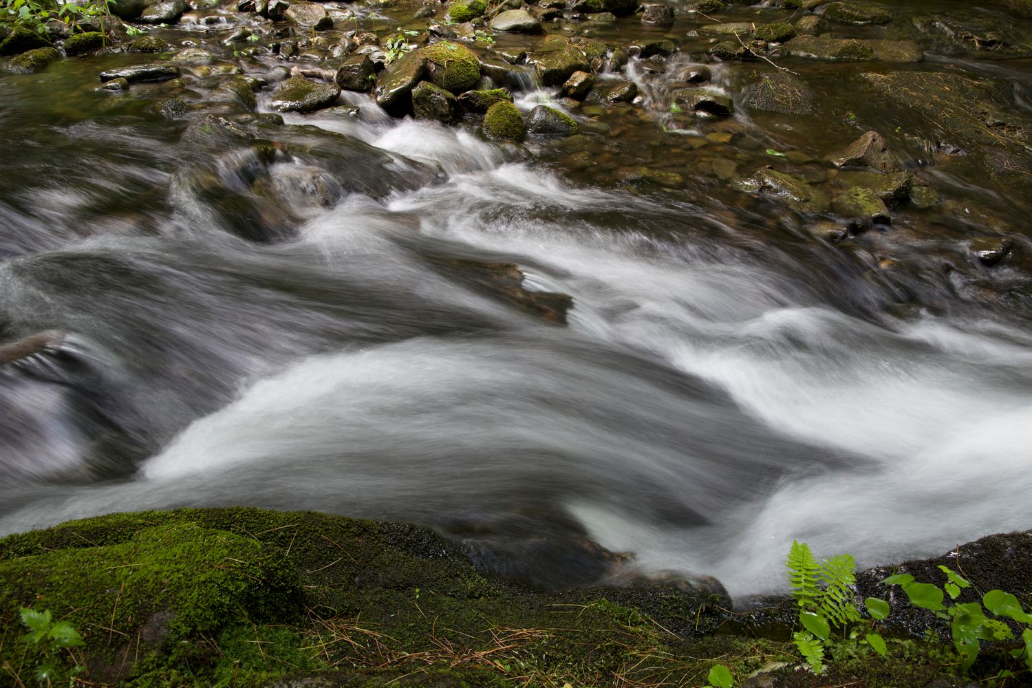 Clean Stream Photos, Download The BEST Free Clean Stream Stock Photos ...