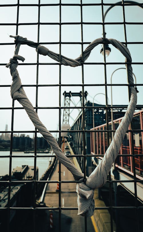 Free stock photo of bridge, city background, construction