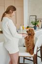 Woman in White Blazer Sitting on White Chair Beside Brown Long Coated Dog