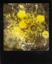Yellow and Black Abstract Painting