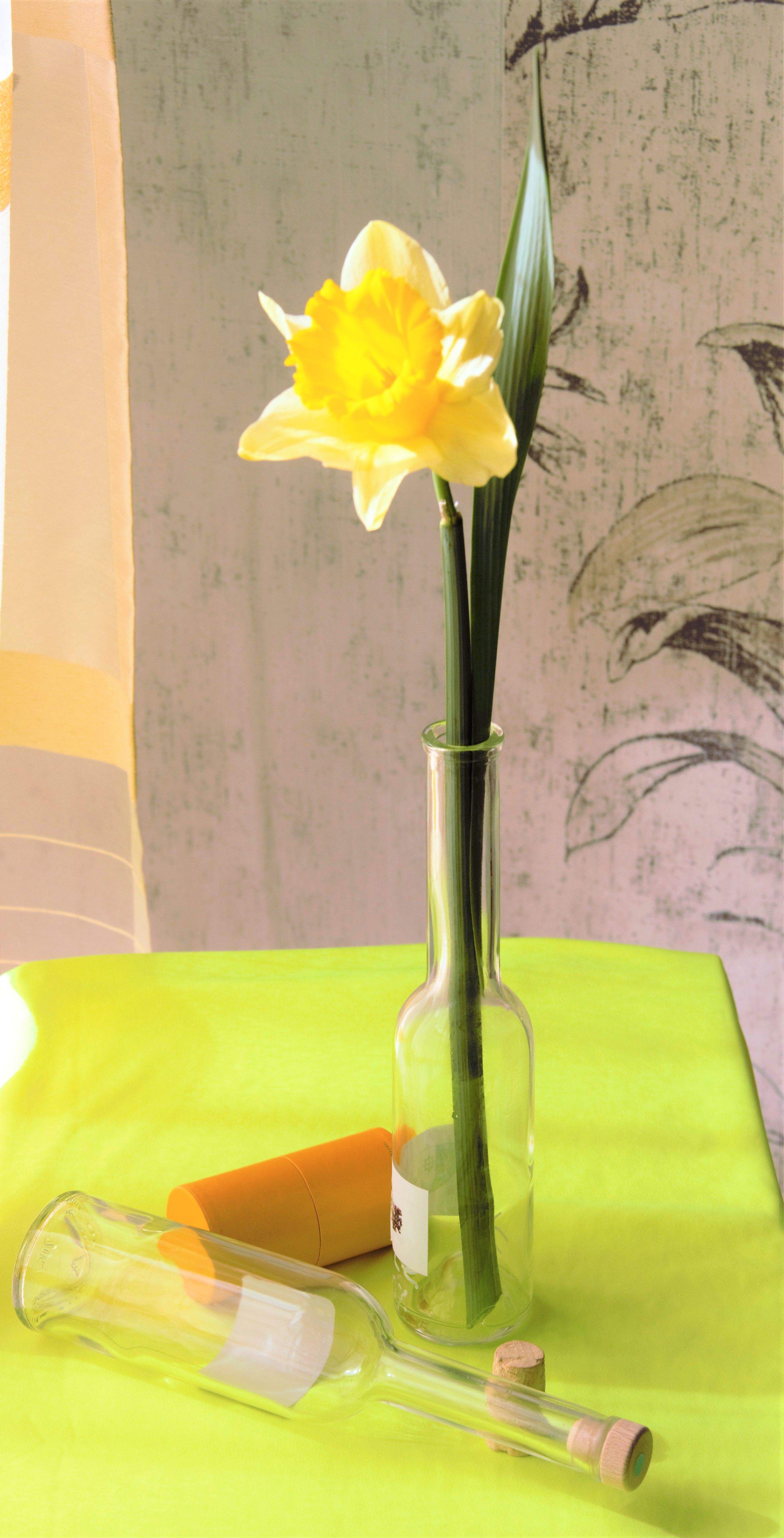 A vibrant yellow daffodil in a glass bottle on a lime green tablecloth, evoking a fresh spring feel.