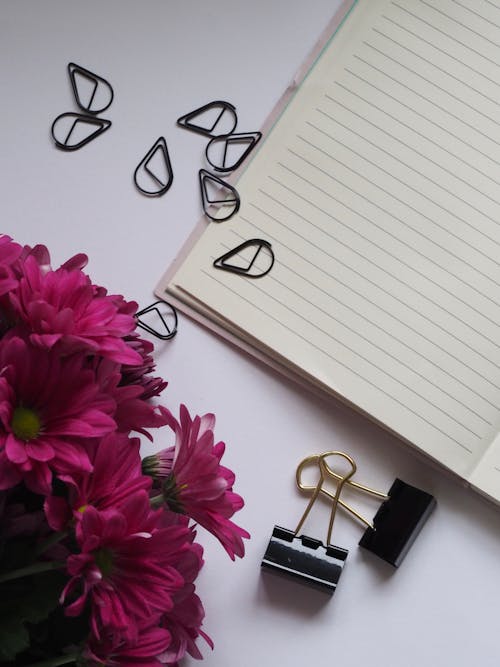 Two Black Binder Clips Beside Purple Flowers