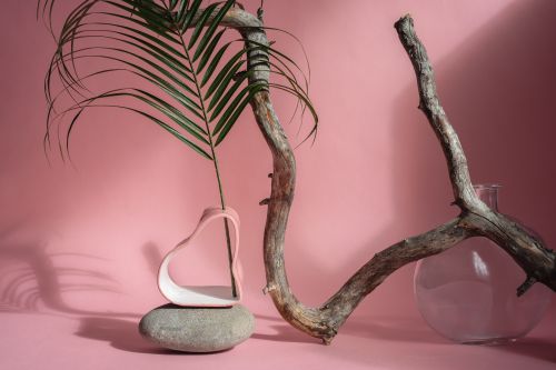 Free A creative arrangement of branches and leaves against a pink backdrop, evoking a minimalist style. Stock Photo