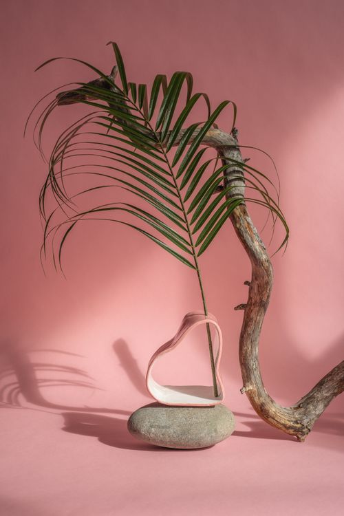 Free Artistic arrangement featuring a palm leaf and driftwood on a pink background. Stock Photo