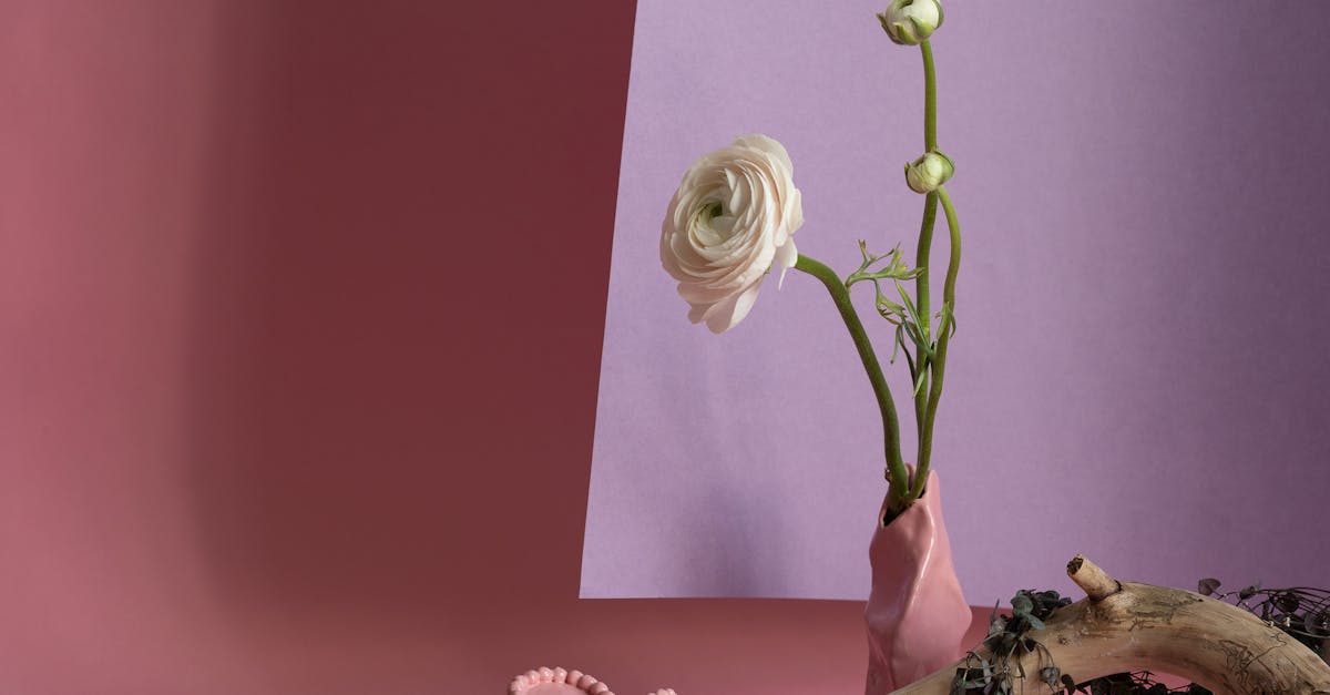 What does mathematically inclined mean