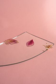 Elegant still life of pink petals on a mirror, creating serene reflections against a blush background.