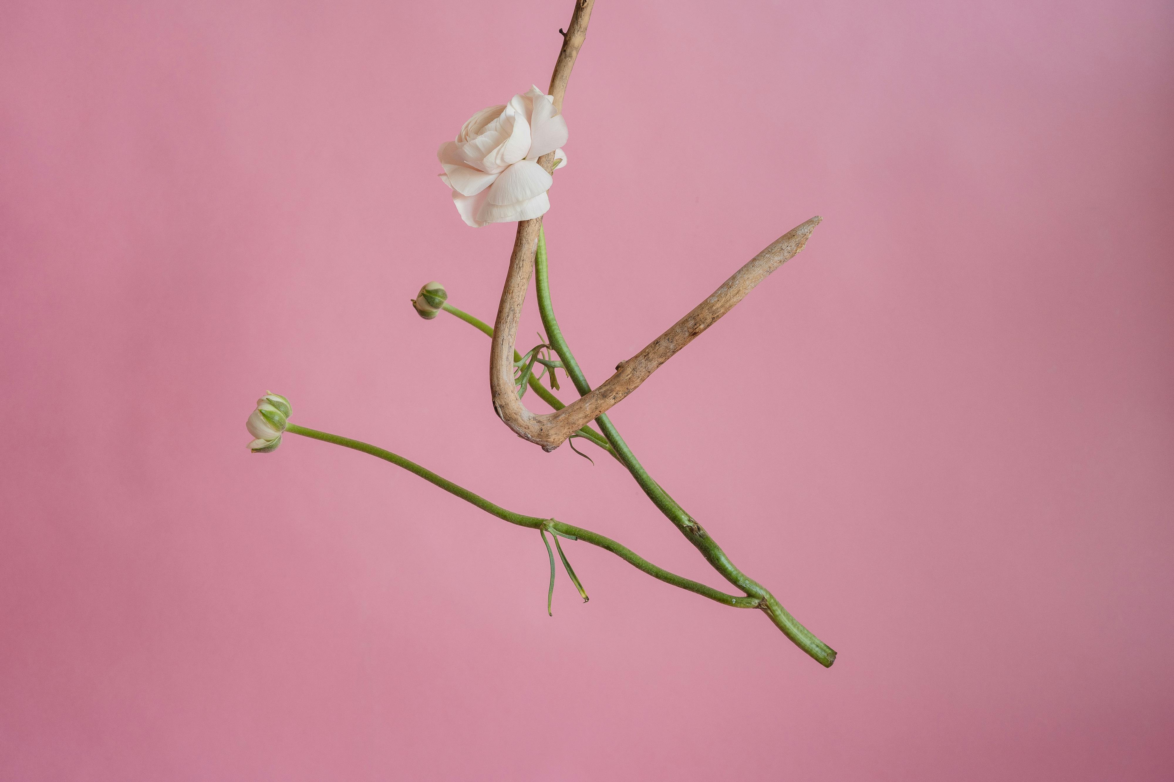 What is God's intention for my life?