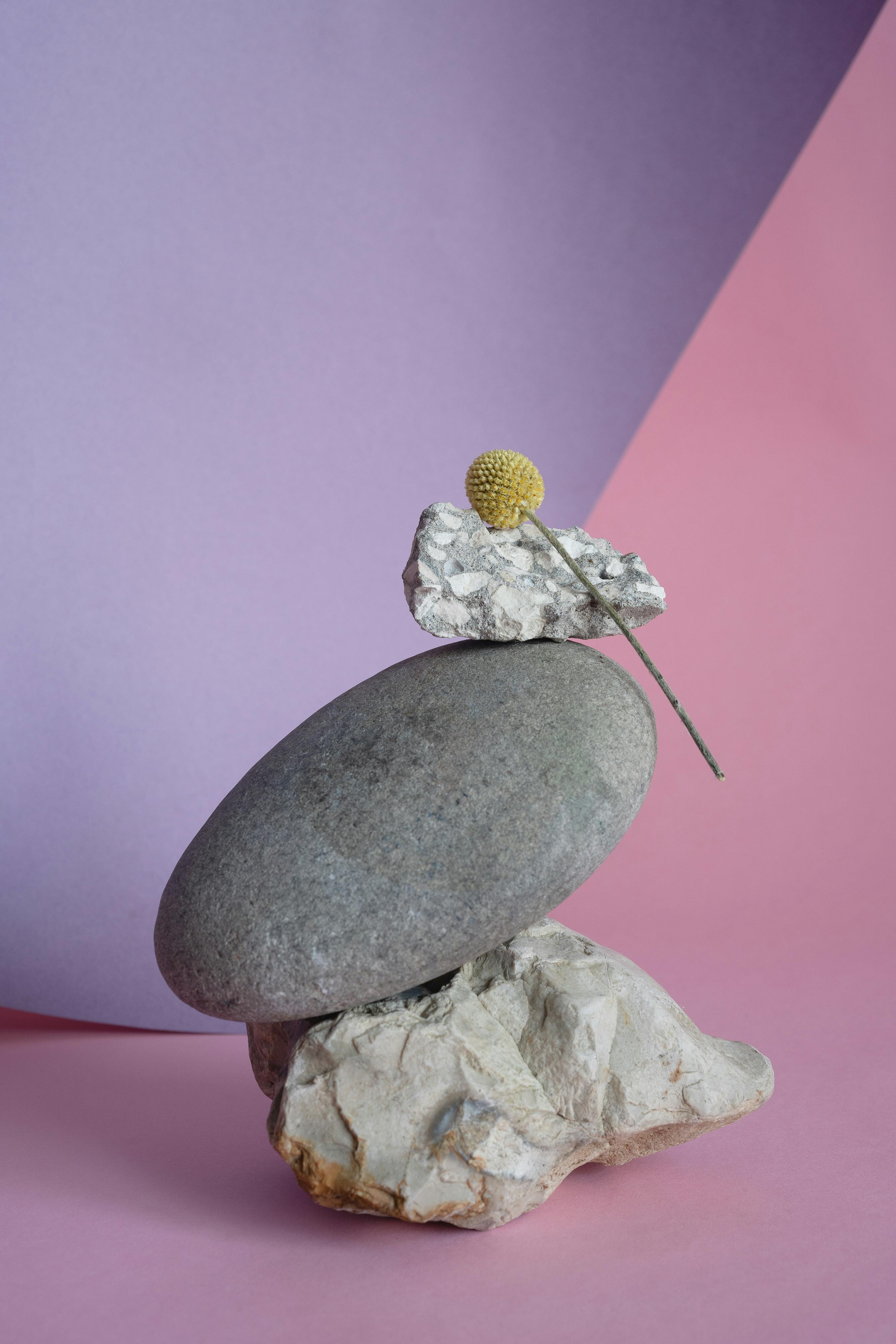 Minimalist composition of stacked stones and flower on pastel background.