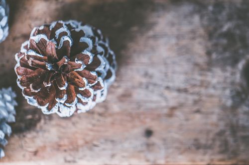 Free Detailed close-up of snow-tipped pine cone on rustic wooden background, evoking winter and holiday vibes. Stock Photo