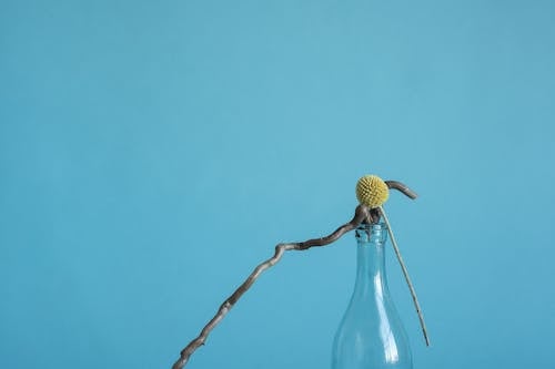 Yellow Flower in Blue Background