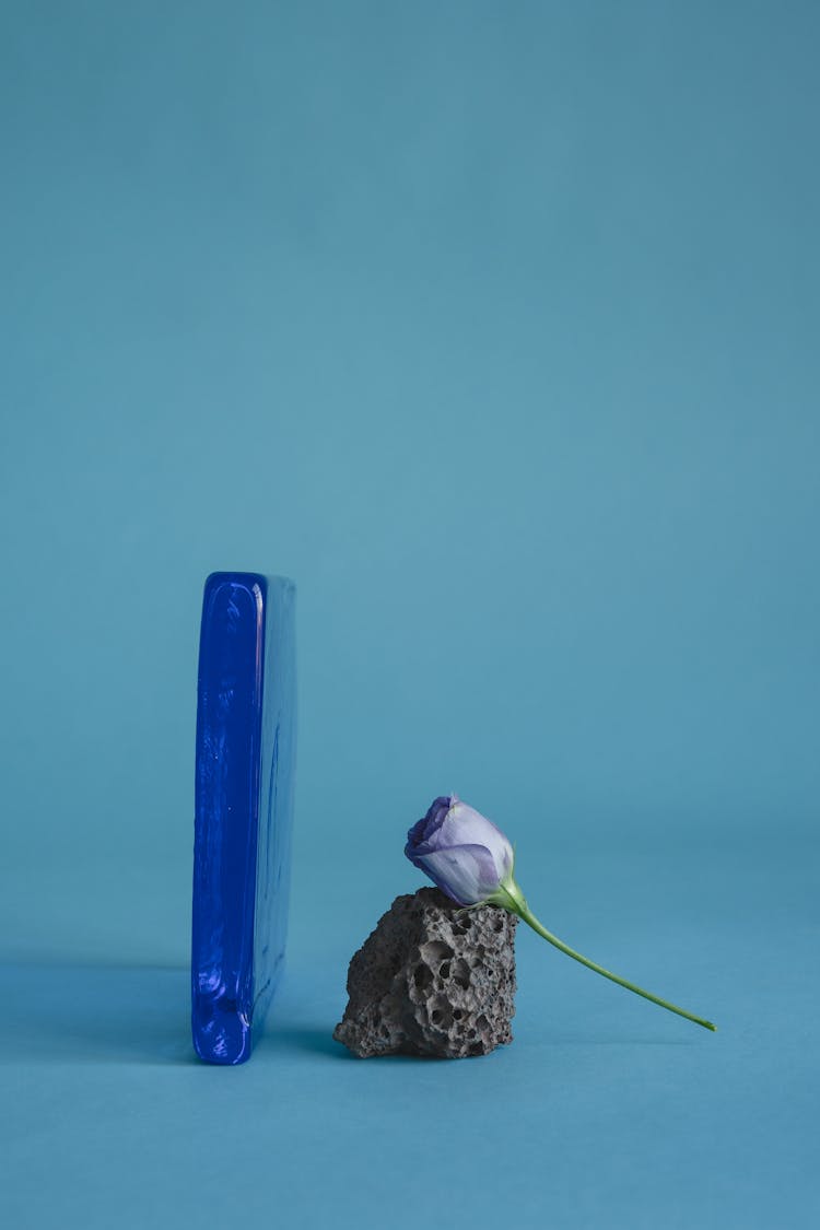 A Blue Glass And Rose On A Rock