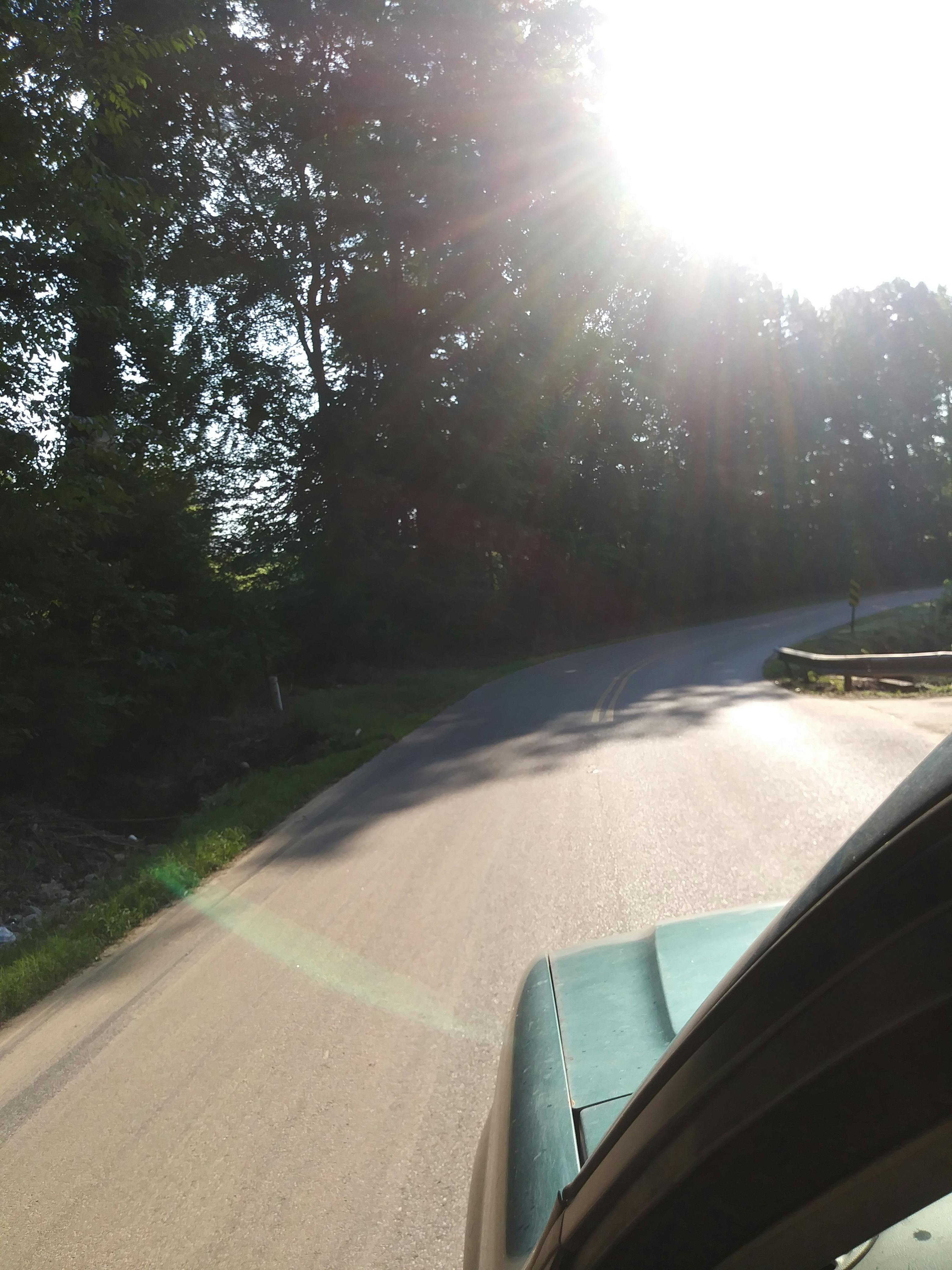 Free stock photo of driving, morning light, morning sun