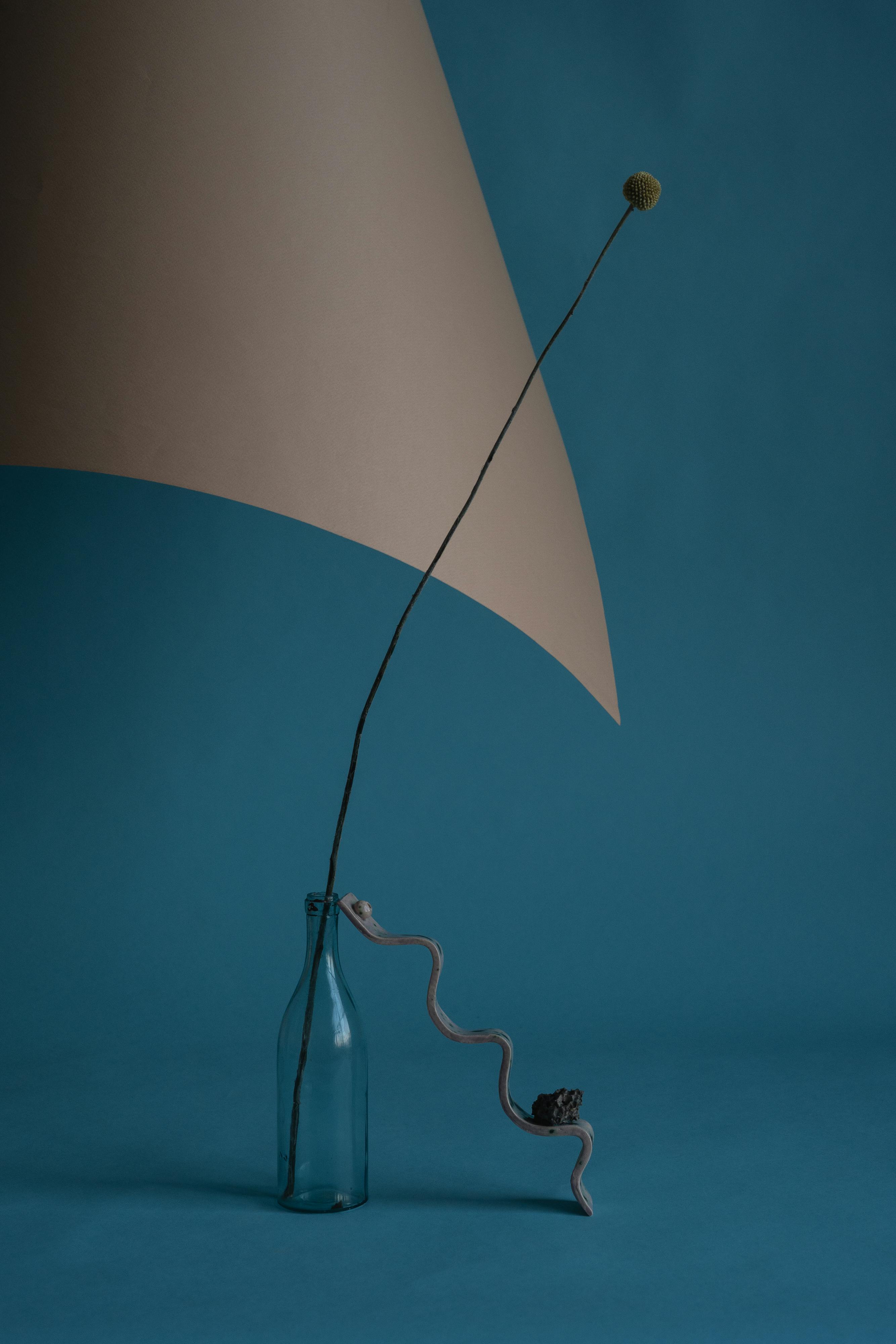 Gratis Flor Seca En Botella De Vidrio Foto de stock