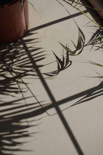 Creative shadow play of leaves and sunlight on a floor, ideal for mobile wallpaper and artistic concepts.