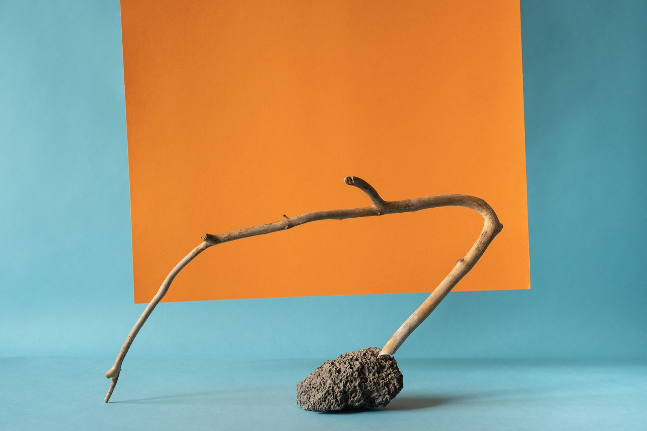 a creative minimalistic arrangement featuring a stick and stone agains