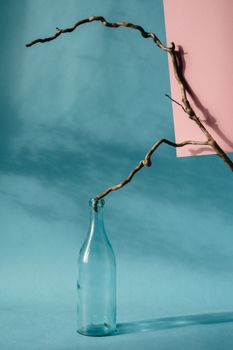 Artistic composition of a glass bottle with tree branch on blue background.