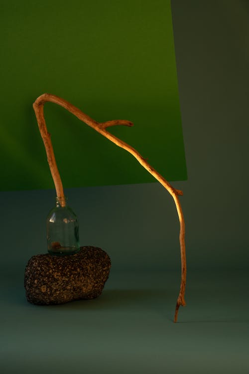 A Branch in a Glass Bottle