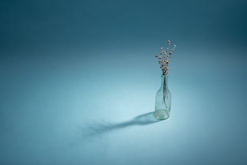 Lavender Flowers in Vase on Blue Background 