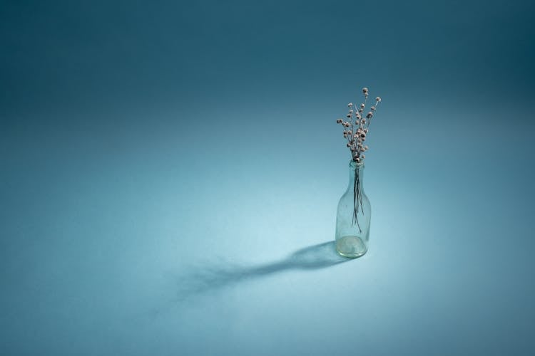 Lavender Flowers In Vase On Blue Background 