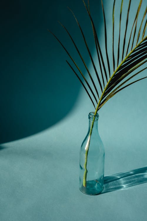 A Palm Frond in a Bottle